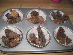 pine cone fire starters
