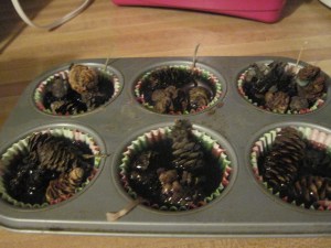 pine cone fire starters