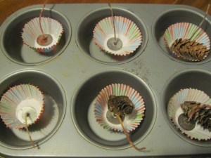 Pine cone firestarters