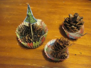 pine cone fire starters