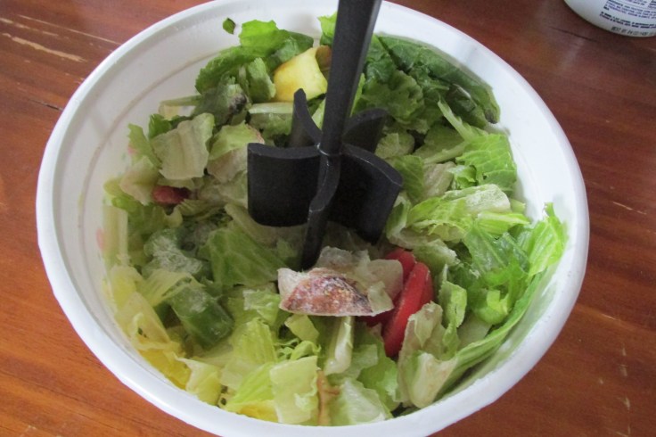 worms, vermiculture, compost, recycle, fertilizer