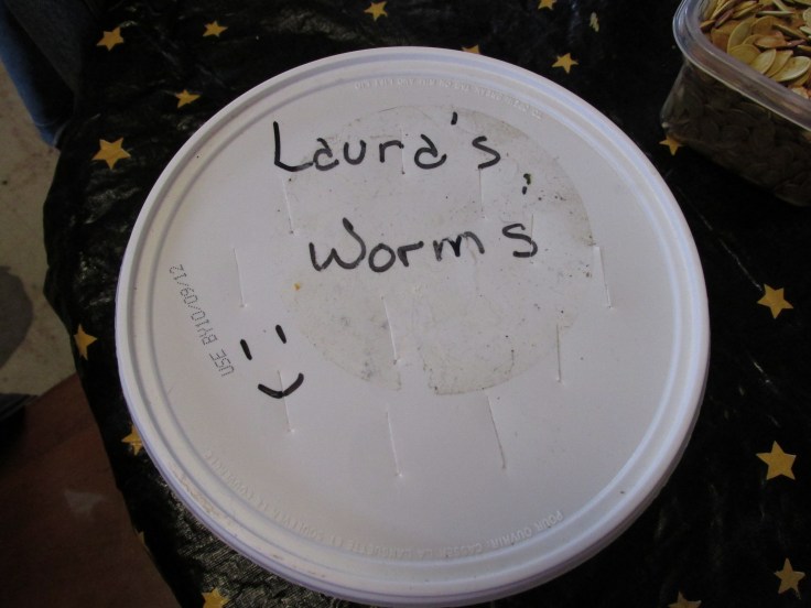 worms, vermiculture, compost, recycle, fertilizer