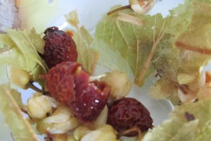 Linden, basswood, lime tree, tea, arthritis, rosehip, 